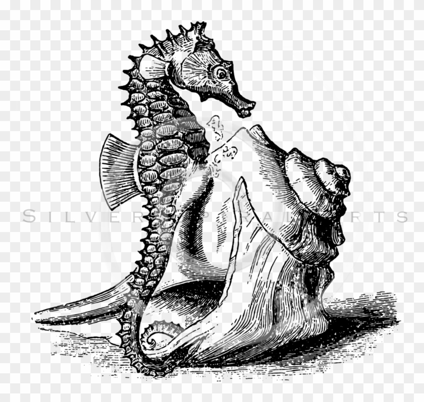 Silver Spiral Arts Clipart