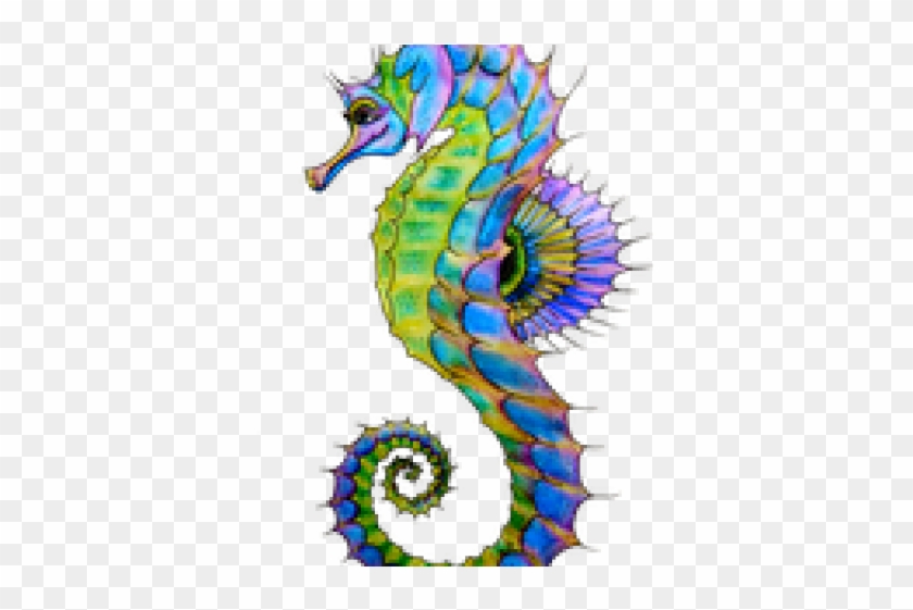 Transparent Background Seahorse Clipart - Png Download #199794