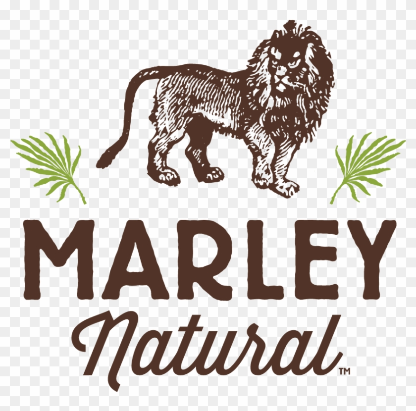 Bob Marley Family Lends Reggae Legend's Name To Cannabis - Marley Natural Logo Clipart