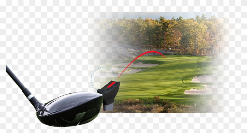 How To Tee Up A Golf Ball - Grass Clipart