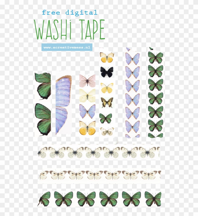 Washi Tape Png - Papilio Machaon Clipart #1900807