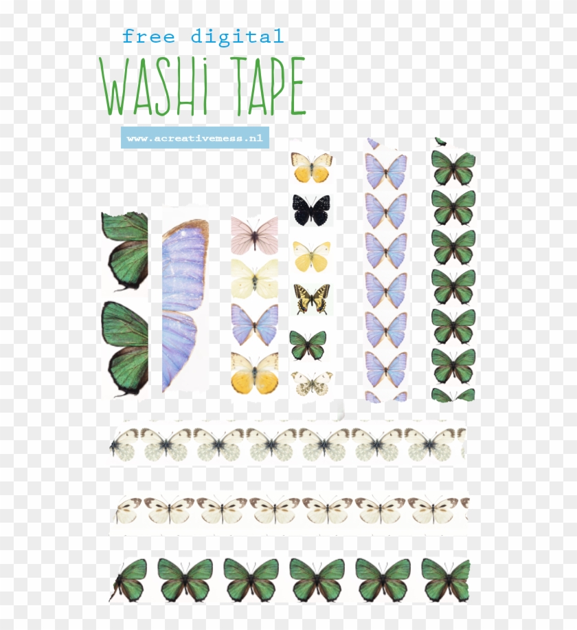 Washi Tape Png - Papilio Machaon Clipart