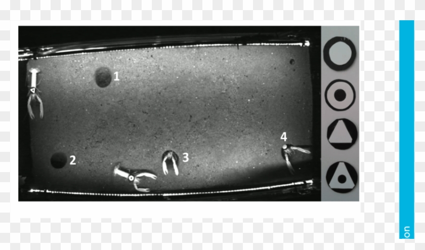 Field Of View Of The Video Camera - Monochrome Clipart