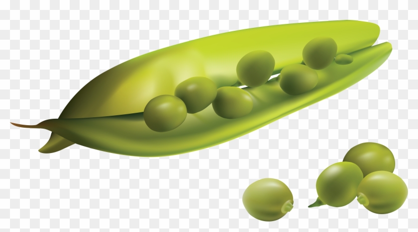 Download Transparent Png - Pea Transparent Background Clipart #1901162