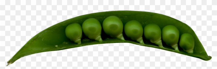 Peas In A Pod Png Image - Snap Pea Clipart #1901190
