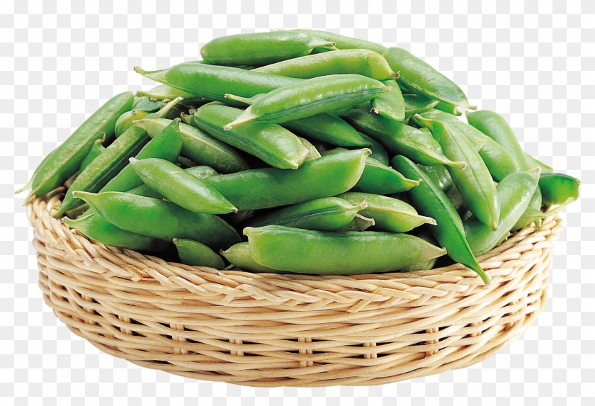 Pea Clipart