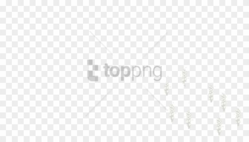 Download Free Png Footprint Png Image With Transparent Background Illustration Clipart 1901664 Pikpng
