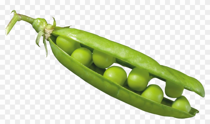 Peas In A Pod - Png Pea Clipart