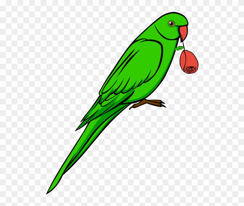Parrot Bird Clipart Free Download Best Parrot Bird - Png Download