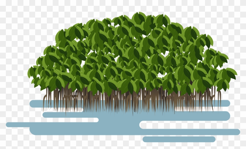 Avicennia Germinans Loop Clipart #1902335
