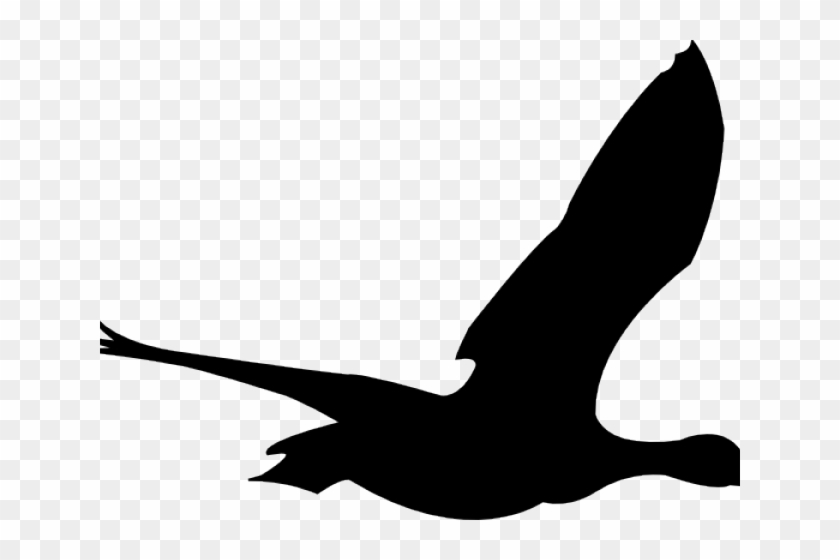 Bird Clipart Png Transparent Png