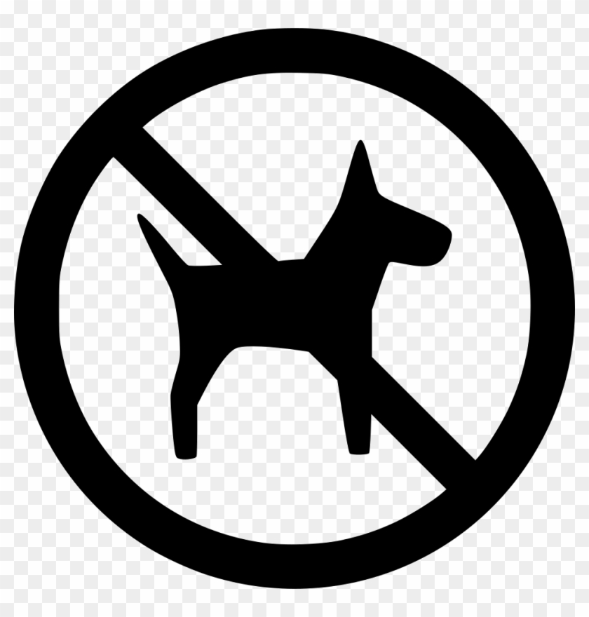 Png File Svg Clipart