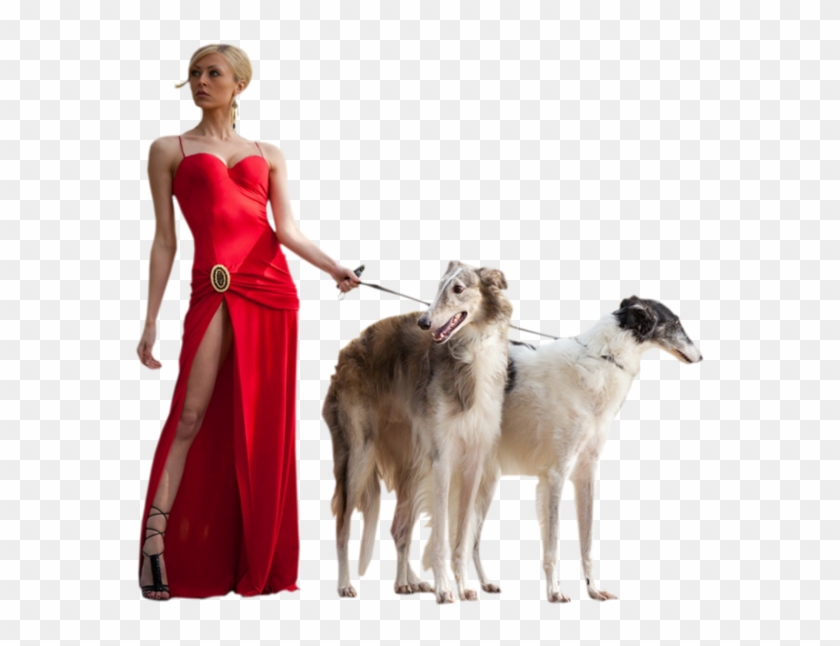 Girl With Pets - Borzoi Clipart #1902845