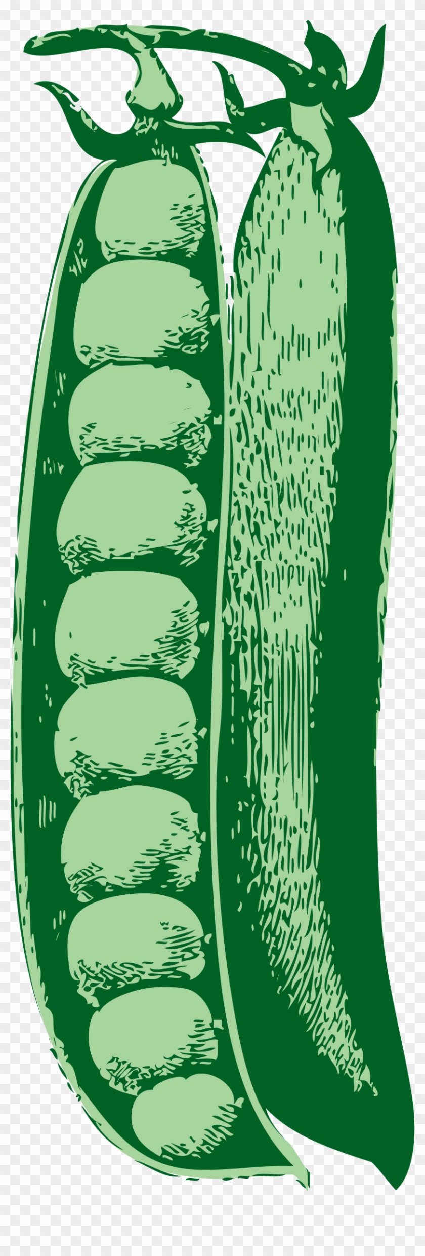 Peas Png - Cartoon Peas Clipart