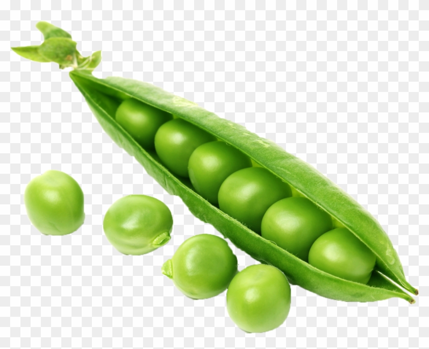 Pasta Salad, Noodle, Gnarly Pepper, Like Mayo, Plain - Snap Pea Clipart