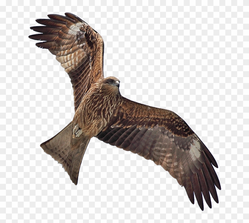 Masked Clipart #1903113