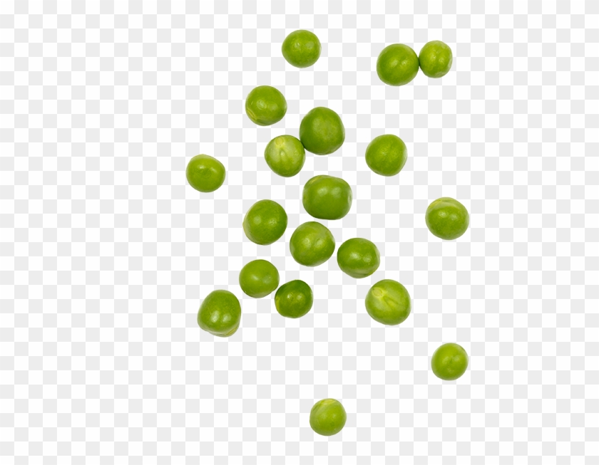 Organic Peas - Circle Clipart