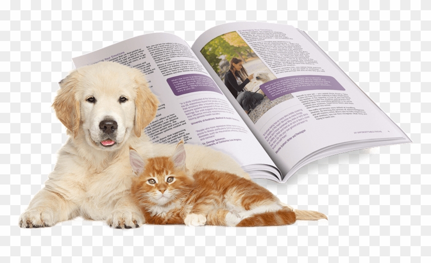 What Is An Unforgettable Friend - Köpek Veteriner Clipart #1903469