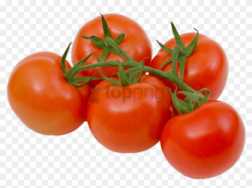 Free Png Download Tomatoes On The Vine Transparent - Tomato On The Vine Png Clipart #1903508