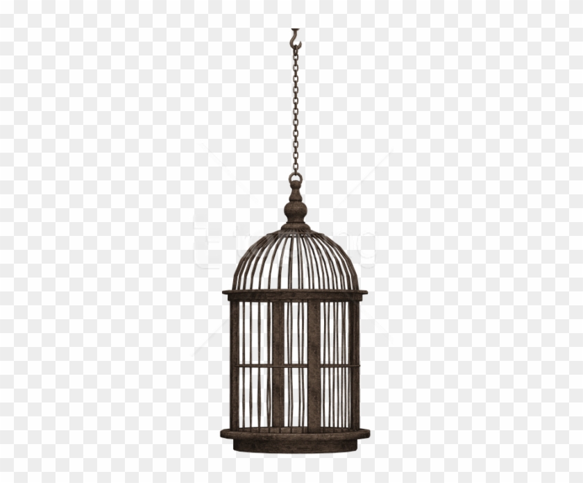 Bird Cage Png - Bird In Cage Png Clipart #1904580