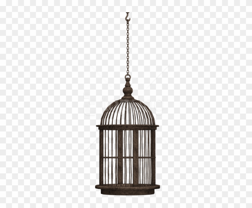 Bird Cage Png - Bird In Cage Png Clipart