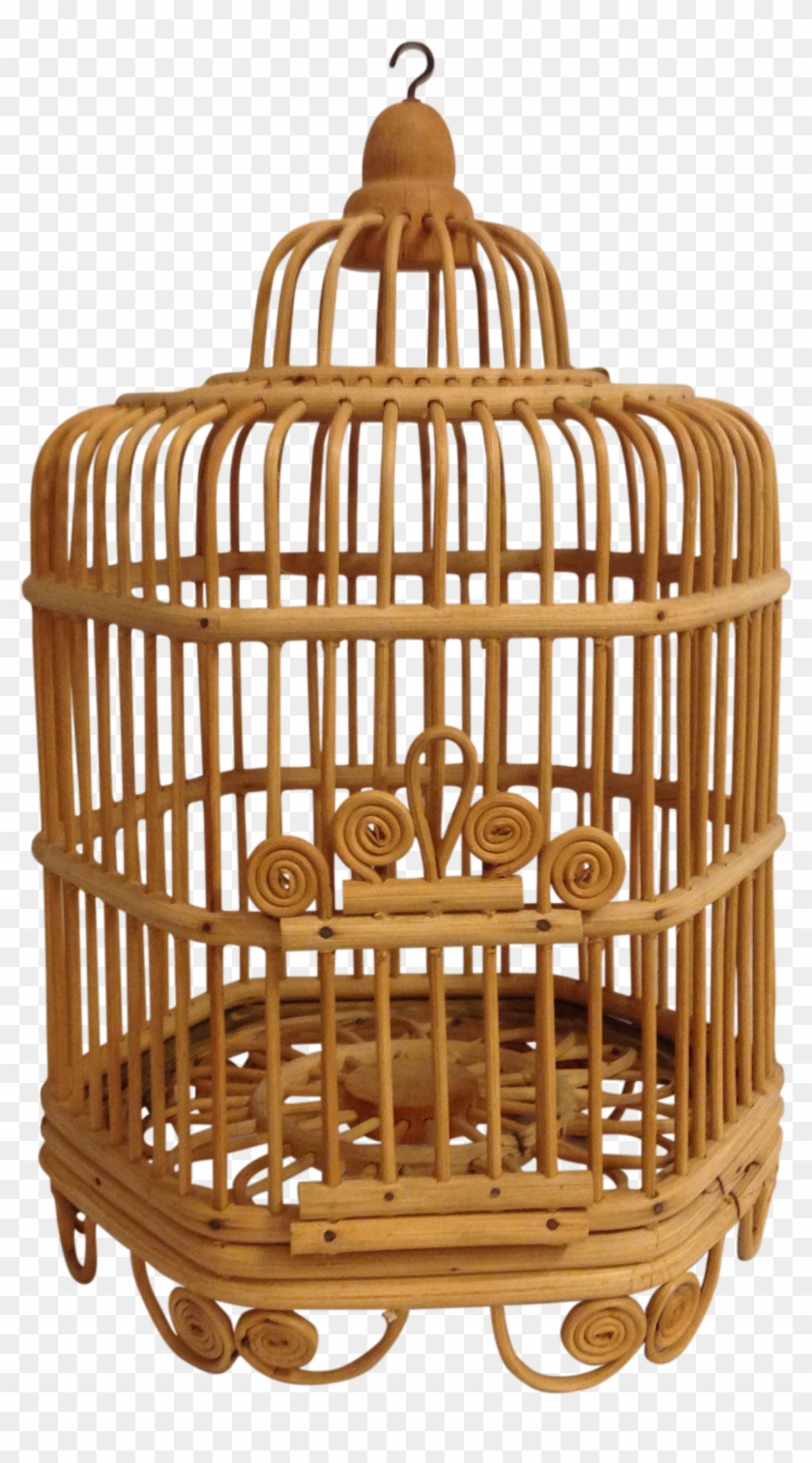 Birdcage Drawing Broken - Cage Clipart