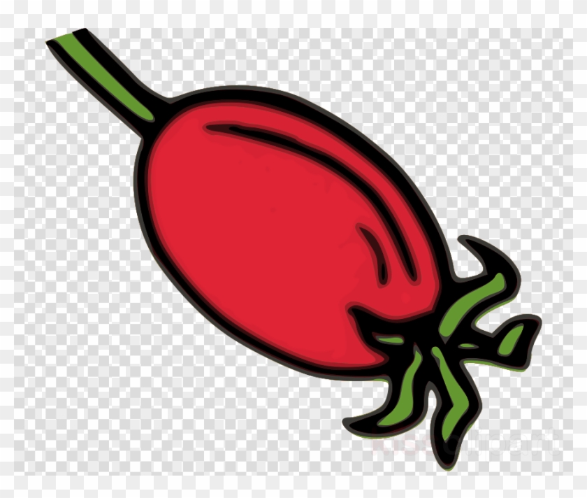 Download Rose Hips Clip Art Clipart Rose Hip Dog Rose - Logos Dream League Soccer 2019 - Png Download #1904654