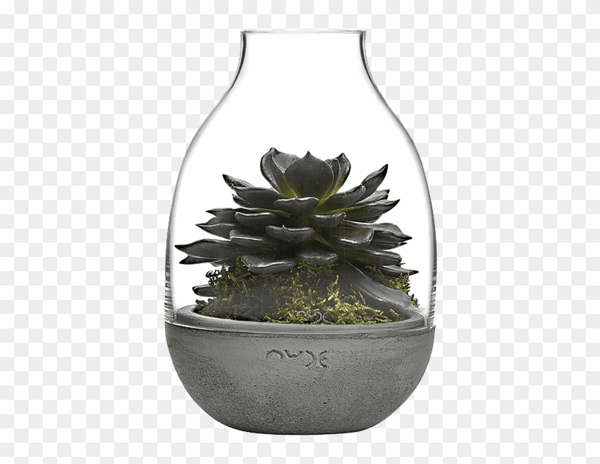 Nude Glass Eden Clipart