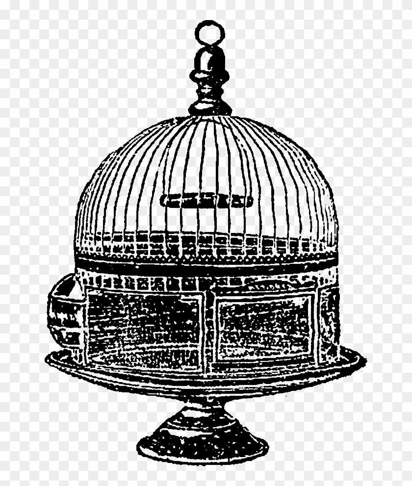 Digital Dome Birdcage Downloads - Dome Clipart