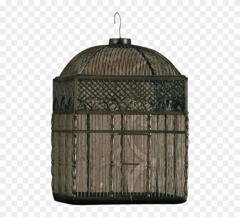 Marga Bird Cage Conure - Cage Clipart #1905209