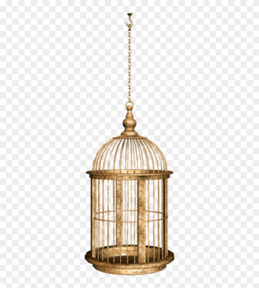 #birdcage #cage Clipart
