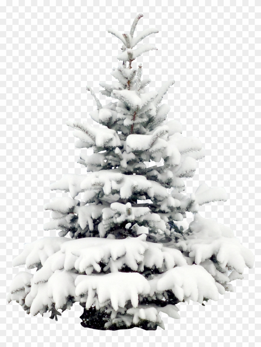 1802 X 2308 10 Clipart