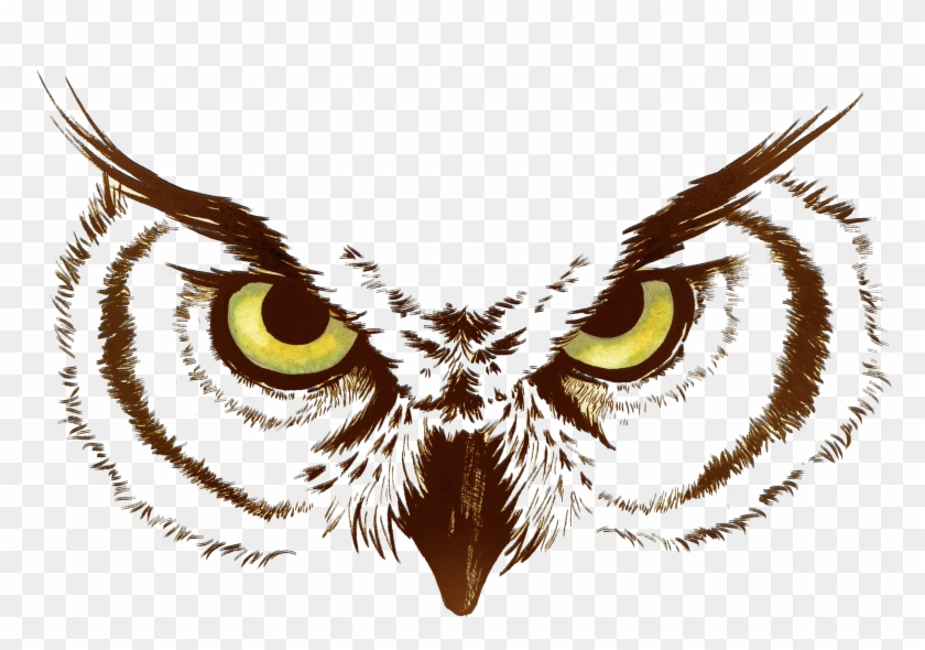 Ojos De Buho - Ojos De Buho Dibujo Clipart