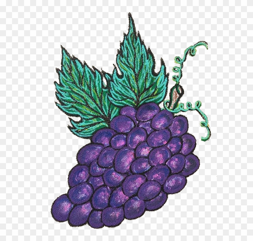 ¿what The Fruta Clipart #1909351