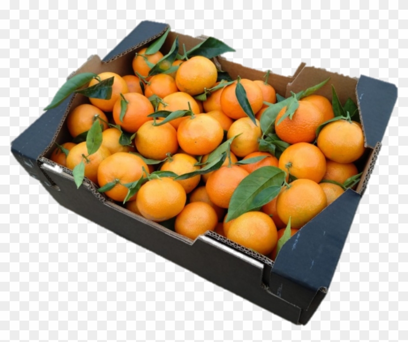 Frutas Goostar Is At The Heart Of The Spanish Production - Rangpur Clipart