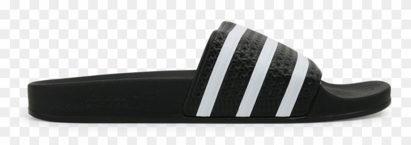 Adidas Šlapky Damske Clipart #1909680