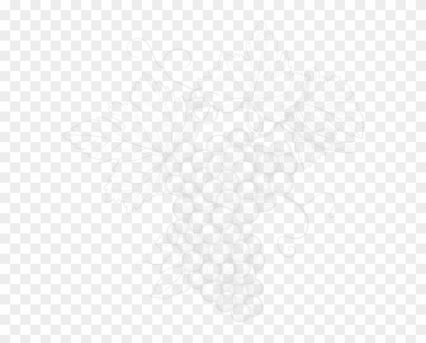 Lágrimas De Dolores Cenizo Colonial Mezcal Joven 6 - Line Art Clipart #1909738