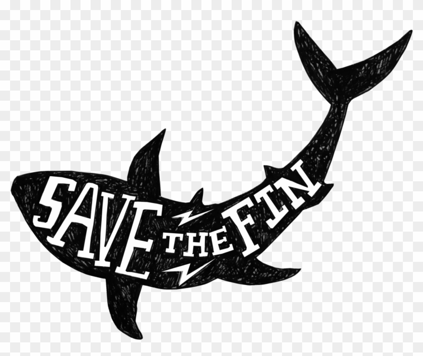 Shark Png Transparent Clipart