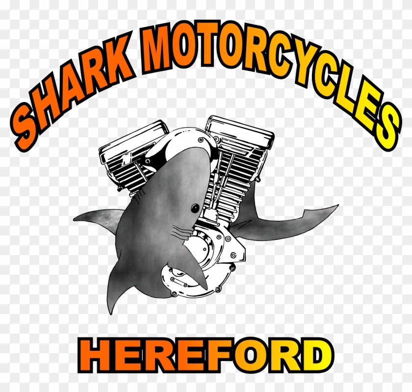 Cropped-sharks Clipart
