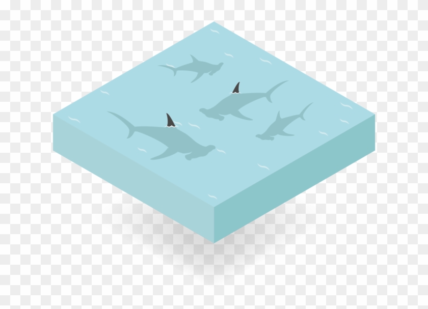 Sharks - Box Clipart