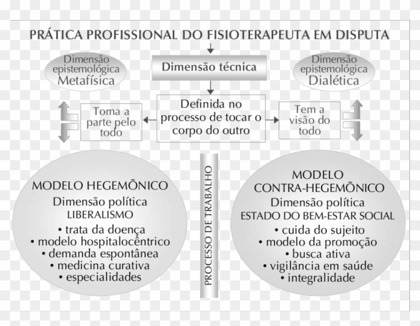 Modelos De Atuação Profissional Do Fisioterapeuta Clipart #1912606