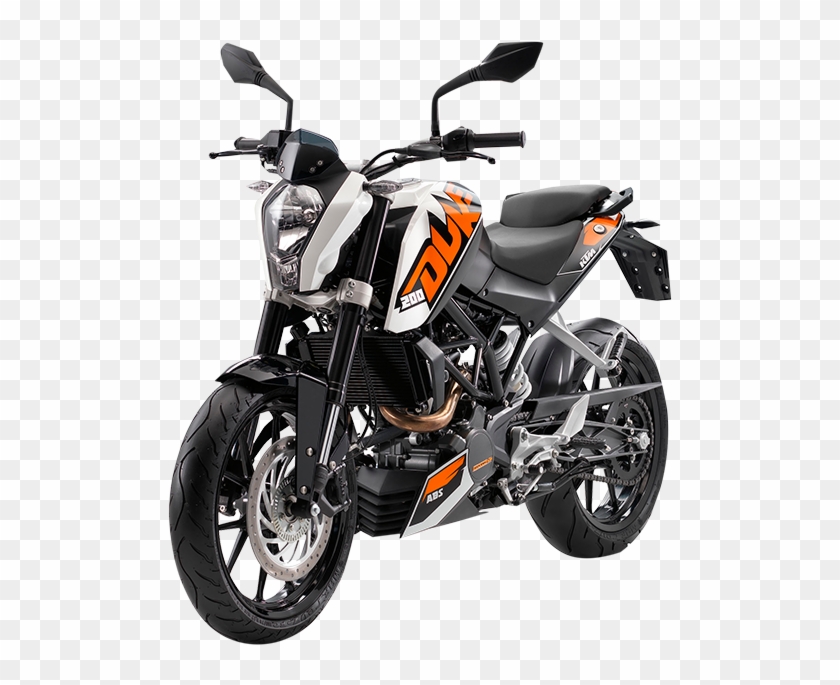 200duke Clipart #1913130