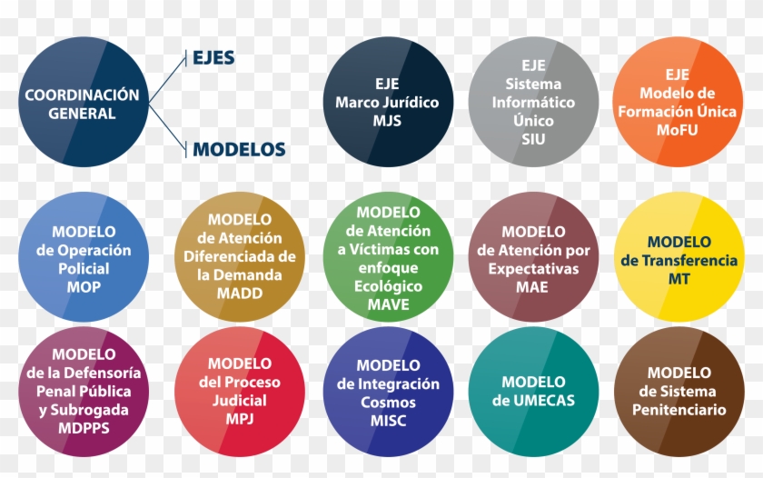 Actualmente Se Desempeña Como Directora De Investigación Clipart