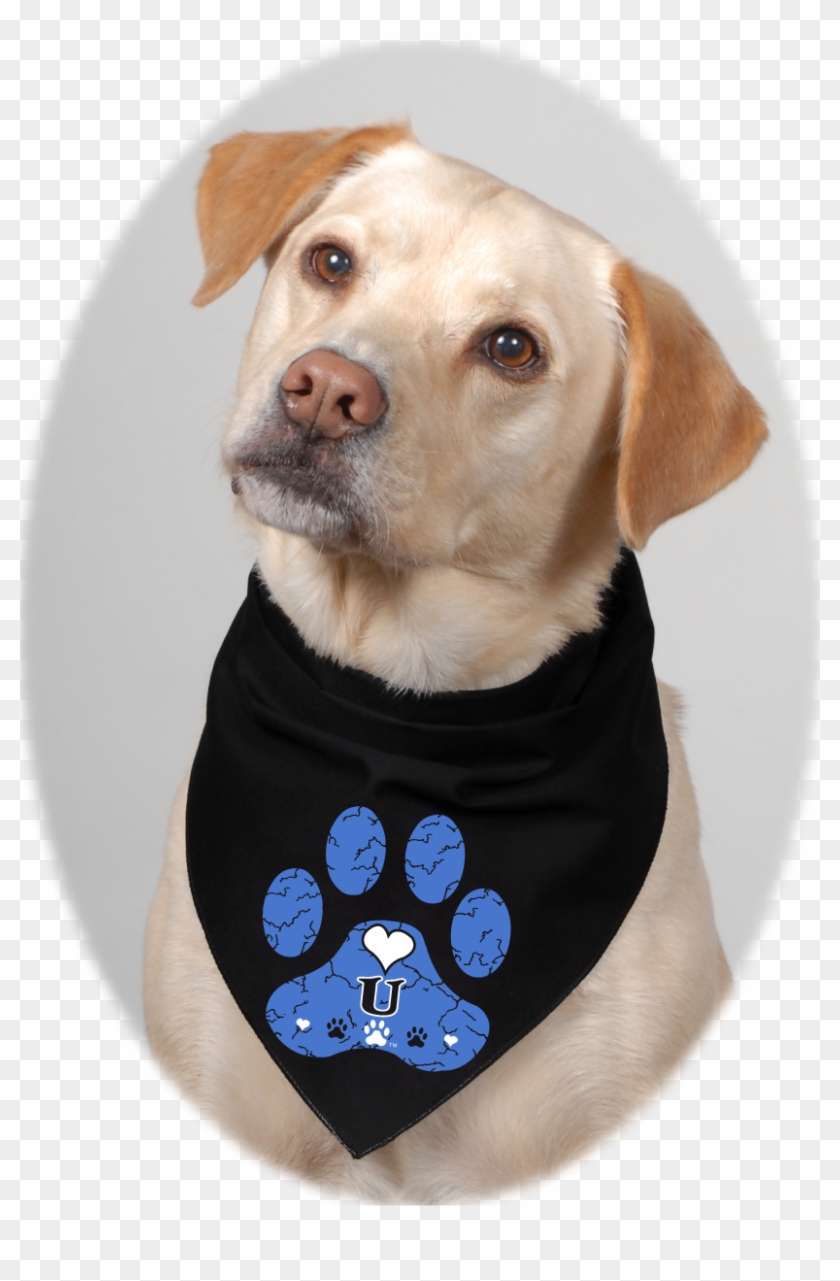 White And Crackled Blue Skies On Black Bandana Clipart