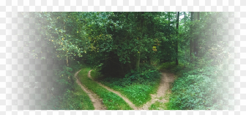 Explore The Path That Is Right For You Clipart #1918367