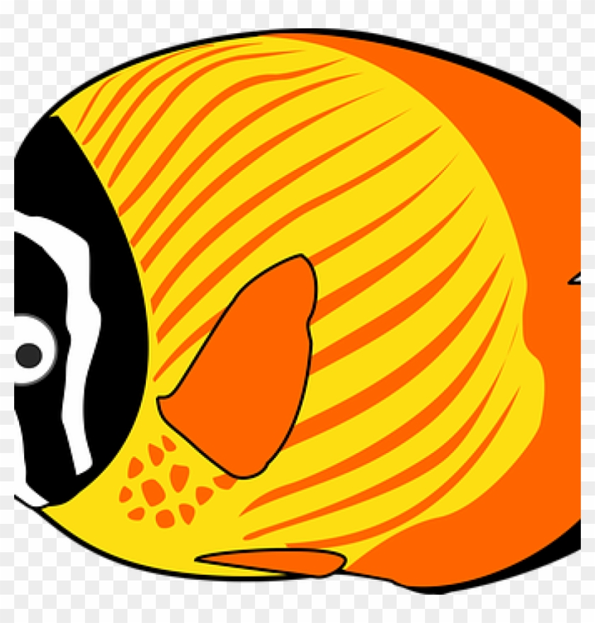 Cartoon Fish Clipart Cartoon Fish Images Pixabay Download - Png Download