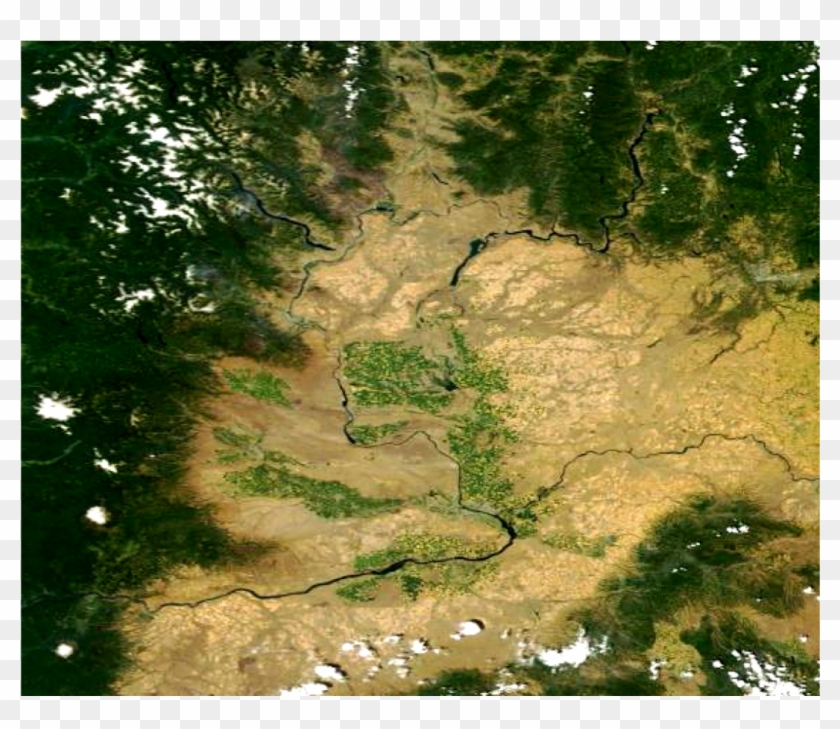 We Have Cut Down The Trees In Western Washington, Replacing Clipart