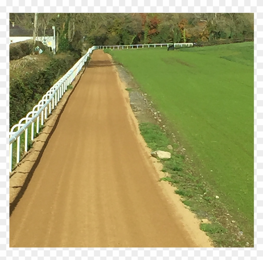 Gallops - Grass Clipart