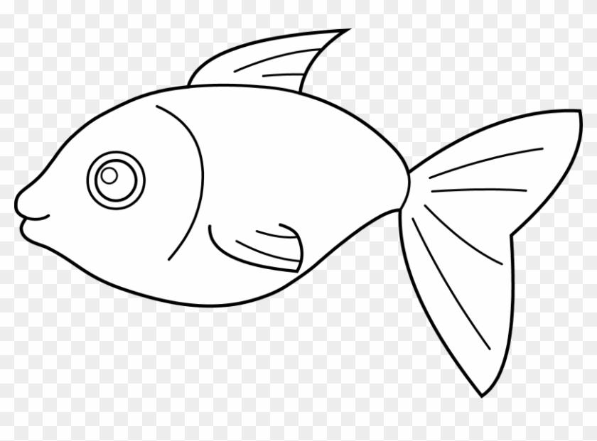 Picture Black And White Download Fish Outline Clip - Line Art Of Fish - Png Download