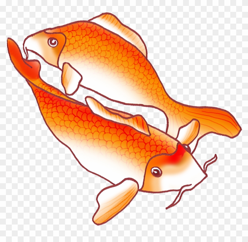 Koi Fish Png Clipart